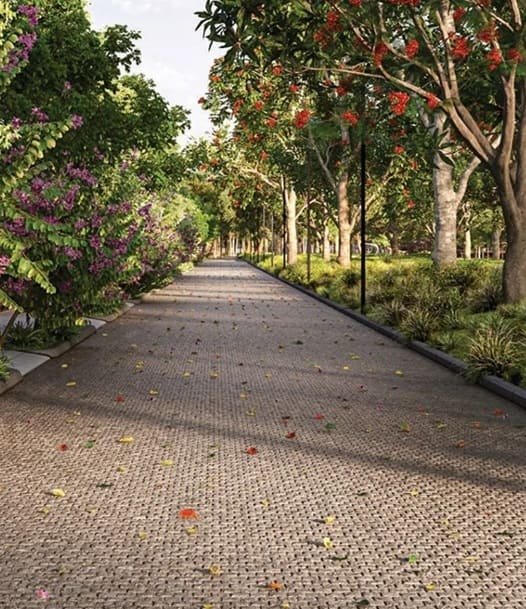 overview image Sattva Doddaballapur Plots